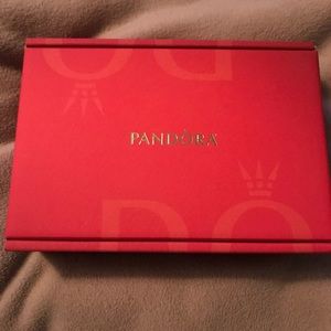 Pandora Cleaning kit with clip/clasp opener.